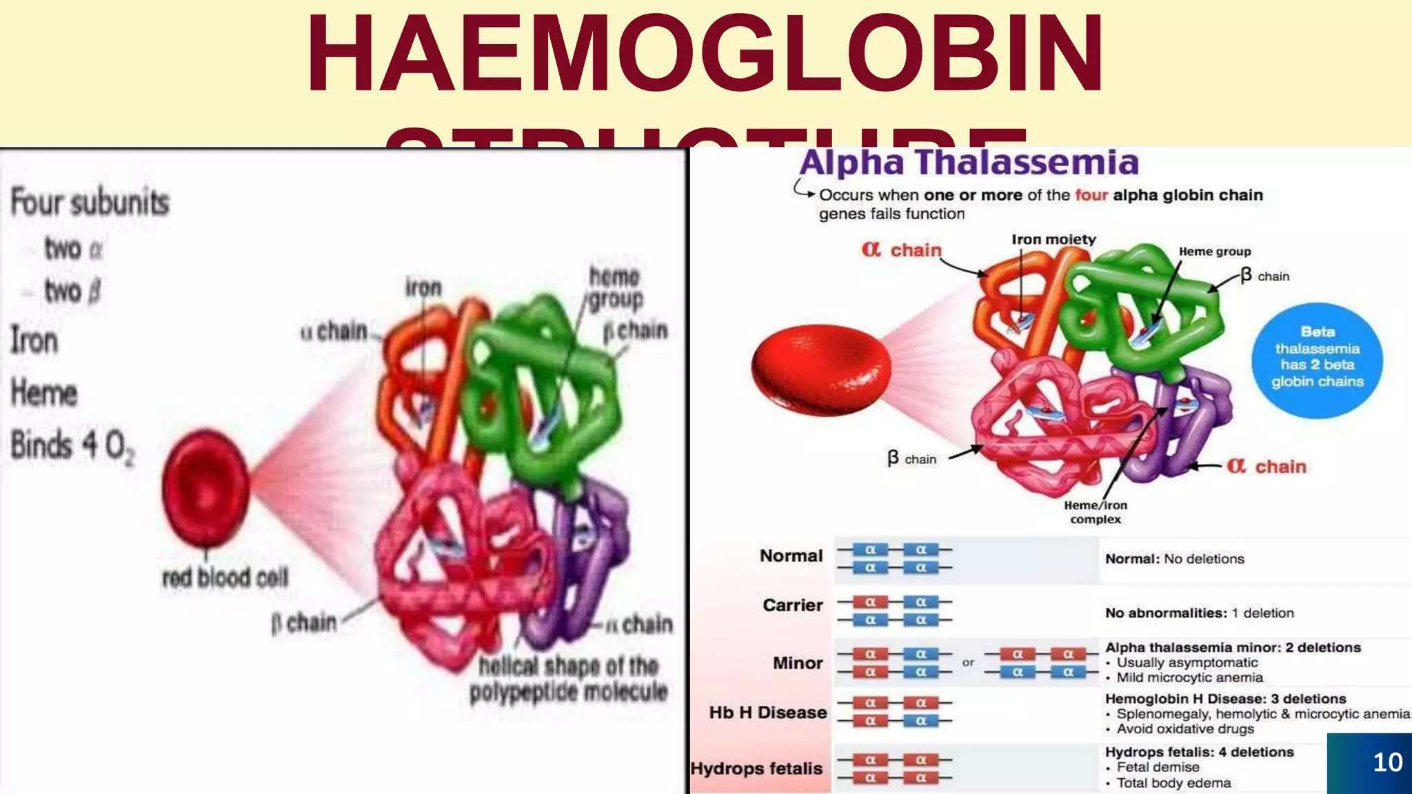 Thalassemia PPTX thalassemia-pptx
