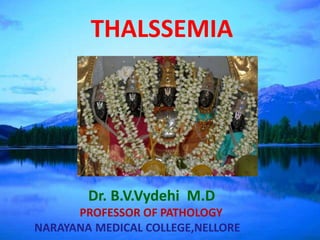 Dr. B.V.Vydehi M.D
PROFESSOR OF PATHOLOGY
NARAYANA MEDICAL COLLEGE,NELLORE
THALSSEMIA
 