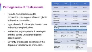 Pathogenesis of Thalassemia
▫ Results from inadequate Hb
production, causing unbalanced globin
sub-unit accumulation.
▫ Hypochromia & microcytocis seen due
to inadequate production
▫ Ineffective erythropoiesis & hemolytic
anemia due to unbalanced globin
accumulation.
▫ Severity of diseases depends on the
degree of imbalance in production.
 