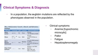 Clinical Symptoms & Diagnosis
▫ In a population, the α-globin mutations are reflected by the
phenotypes observed in the population.
▫ Clinical symptoms
▫ Anemia [hypochromic
microcytic]
▫ Pallor
▫ Fatigue
▫ Hepatosplenomegaly
 