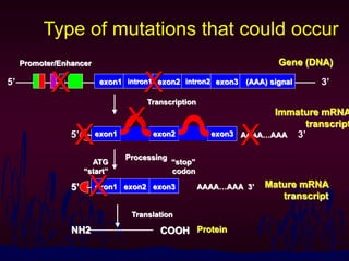 Codl Mutations Thalassemia-master-Lecture-5.ppt