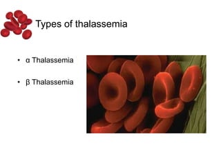 • α Thalassemia
• β Thalassemia
Types of thalassemia
 