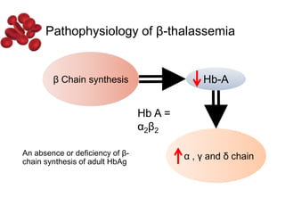 An absence or deficiency of β-
chain synthesis of adult HbAg
Pathophysiology of β-thalassemia
β Chain synthesis Hb-A
α , γ and δ chain
Hb A =
α2β2
 