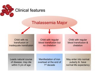 Thalassemia Major
Child with no
transfusion or
inadequate transfusion
Child with regular
blood transfusion but
no chelation
Child with regular
blood transfusion &
chelation
Leads natural course
of disease, may die
within 5 yrs of age
Manifestation of iron
overload at the end of
1st decade
May enter into normal
puberty & have
normal life expectancy
Clinical features
 