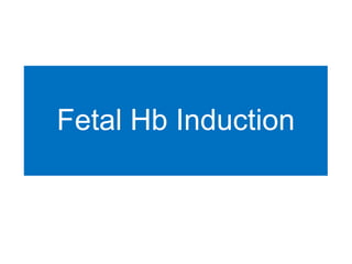 Fetal Hb Induction
 