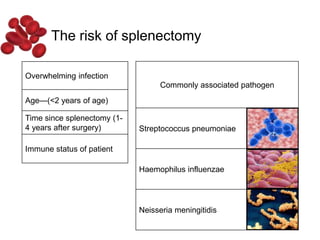 The risk of splenectomy
Overwhelming infection
Age—(<2 years of age)
Time since splenectomy (1-
4 years after surgery)
Immune status of patient
Commonly associated pathogen
Streptococcus pneumoniae
Haemophilus influenzae
Neisseria meningitidis
 