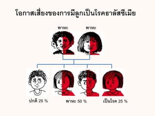 โอกาสเสี่ยงของการมีลูกเป็นโรคธาลัสซีเมีย
พาหะ พาหะ
เป็นโรค 25 %ปกติ 25 % พาหะ 50 %
 