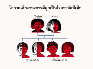 โอกาสเสี่ยงของการมีลูกเป็นโรคธาลัสซีเมีย
เป็นโรค พาหะ
พาหะ 50 % เป็นโรค 50 %
 