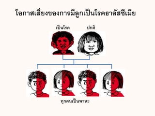โอกาสเสี่ยงของการมีลูกเป็นโรคธาลัสซีเมีย
เป็นโรค ปกติ
ทุกคนเป็นพาหะ
 