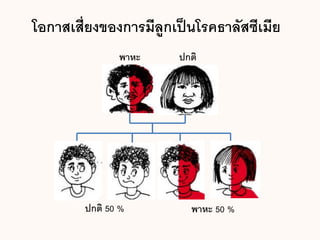 โอกาสเสี่ยงของการมีลูกเป็นโรคธาลัสซีเมีย
พาหะ ปกติ
ปกติ 50 % พาหะ 50 %
 