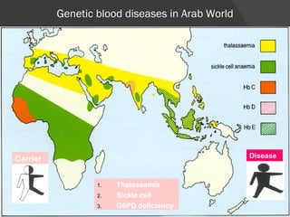 Genetic blood diseases in Arab World Thalassemia Sickle cell G6PD deficiency Carrier Disease 