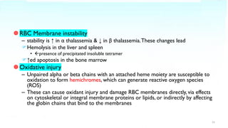 RBC Membrane instability
– stability is ↑ in α thalassemia & ↓ in β thalassemia.These changes lead
Hemolysis in the liver and spleen
• presence of precipitated insoluble tetramer
↑ed apoptosis in the bone marrow
Oxidative injury
– Unpaired alpha or beta chains with an attached heme moiety are susceptible to
oxidation to form hemichromes, which can generate reactive oxygen species
(ROS)
– These can cause oxidant injury and damage RBC membranes directly, via effects
on cytoskeletal or integral membrane proteins or lipids, or indirectly by affecting
the globin chains that bind to the membranes
15
 