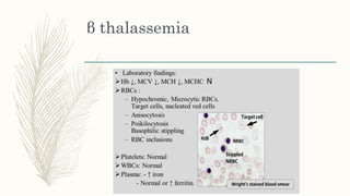 β thalassemia
 