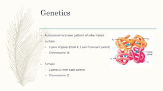 Genetics
– Autosomal recessive pattern of inheritance
– α chain
– 2 pairs of genes (Total 4; 1 pair from each parent)
– Chromosome 16
– β chain
– 2 genes (1 from each parent)
– Chromosome 11
 