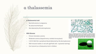 α thalassemia
– α thalassemia trait
– No/mild anemia in pregnancy
– No abnormal Hb found
– Not detected by Hb electrophoresis
– HbH disease
– Chronic hemolytic anemia
– Moderate anemia (Hypochromia, marked microcytosis)
– 5-30 % HbH Hb in peripheral blood (detected by Hb electrophoresis)
– HbH inclusion bodies in red cells (golf ball cells –supravital staining)
– Can transmit as α thalassemia trait in children
 