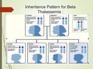 Inheritance Pattern for Beta
Thalassemia :
 