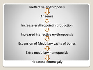 Ineffective erythropoisis
Anaemia
Increase erythropoietin production
Increased ineffective erythropoeisis
Expansion of Medullary cavity of bones
Extra medullary hemopoeisis
Hepatosplenomegaly
 