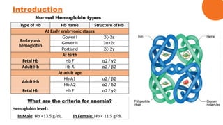 Type 2 Hb Thalassemia protocol.pptxThalassemia protocol.pptx