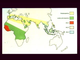 Taleucema Map thalassemias PATHOGENESIS AND PATHOLOGY PPT | PPT