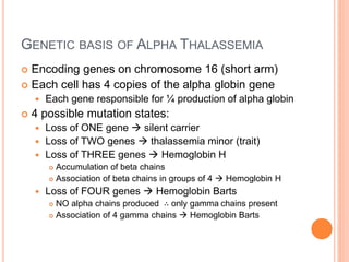 GENETIC BASIS OF ALPHA THALASSEMIA
 Encoding genes on chromosome 16 (short arm)
 Each cell has 4 copies of the alpha globin gene
 Each gene responsible for ¼ production of alpha globin
 4 possible mutation states:
 Loss of ONE gene  silent carrier
 Loss of TWO genes  thalassemia minor (trait)
 Loss of THREE genes  Hemoglobin H
 Accumulation of beta chains
 Association of beta chains in groups of 4  Hemoglobin H
 Loss of FOUR genes  Hemoglobin Barts
 NO alpha chains produced ∴ only gamma chains present
 Association of 4 gamma chains  Hemoglobin Barts
 