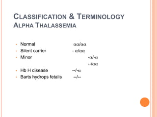 CLASSIFICATION & TERMINOLOGY
ALPHA THALASSEMIA
• Normal /
• Silent carrier - /
• Minor -/-
--/
• Hb H disease --/-
• Barts hydrops fetalis --/--
 