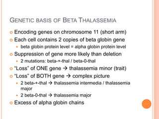 GENETIC BASIS OF BETA THALASSEMIA
 Encoding genes on chromosome 11 (short arm)
 Each cell contains 2 copies of beta globin gene
 beta globin protein level = alpha globin protein level
 Suppression of gene more likely than deletion
 2 mutations: beta-+-thal / beta-0-thal
 “Loss” of ONE gene  thalassemia minor (trait)
 “Loss” of BOTH gene  complex picture
 2 beta-+-thal  thalassemia intermedia / thalassemia
major
 2 beta-0-thal  thalassemia major
 Excess of alpha globin chains
 