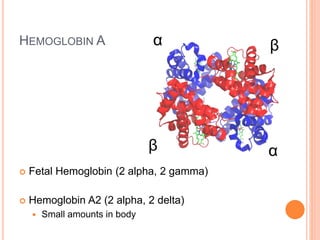 HEMOGLOBIN A
 Fetal Hemoglobin (2 alpha, 2 gamma)
 Hemoglobin A2 (2 alpha, 2 delta)
 Small amounts in body
α
αβ
β
 