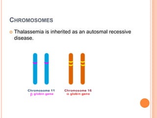 CHROMOSOMES
 Thalassemia is inherited as an autosmal recessive
disease.
 