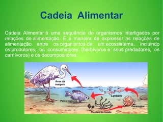Cadeia Alimentar é uma sequência de organismos interligados por
relações de alimentação. É a maneira de expressar as relações de
alimentação entre os organismos de um ecossistema, incluindo
os produtores, os consumidores (herbívoros e seus predadores, os
carnívoros) e os decompositores.
Cadeia Alimentar
 