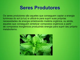 Seres Produtores
Os seres produtores são aqueles que conseguem captar a energia
luminosa do sol (a luz) e utilizá-la para suprir suas próprias
necessidades de energia sintetizando matéria orgânica, ou ainda,
aqueles que conseguem sintetizar compostos orgânicos a partir
de compostos inorgânicos produzindo energia para suprir seu próprio
metabolismo.
 