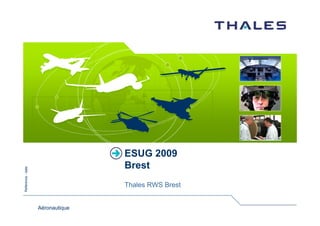 ESUG 2009
                                  Brest
Reference - date




                                  Thales RWS Brest


                   Aéronautique
 