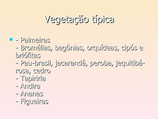 Vegetação típica - Palmeiras - Bromélias, begônias, orquídeas, cipós e briófitas - Pau-brasil, jacarandá, peroba, jequitibá-rosa, cedro - Tapiriria - Andira - Ananas - Figueiras 