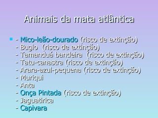 Animais da mata atlântica -  Mico-leão-dourado  (risco de extinção) - Bugio  (risco de extinção) - Tamanduá bandeira  (risco de extinção) - Tatu-canastra (risco de extinção) - Arara-azul-pequena (risco de extinção) - Muriqui - Anta -  Onça Pintada  (risco de extinção) - Jaguatirica  -  Capivara   