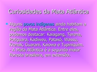 Curiosidades da Mata Atlântica Alguns  povos indígenas  ainda habitam a região da Mata Atlântica. Entre eles, podemos destacar: Kaiagang, Terena, Potiguara, Kadiweu, Pataxó, Wassu, Krenak, Guarani, Kaiowa e Tupiniquim. - A Mata Atlântica é a segunda maior floresta brasileira, em extensão.  