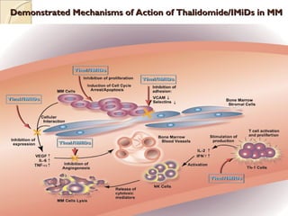 Thalidomide & its derivatives by Dr. Harmanjit Singh, Department of ...