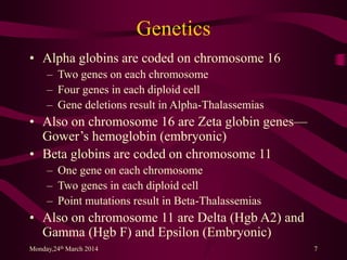 Genetics
• Alpha globins are coded on chromosome 16
– Two genes on each chromosome
– Four genes in each diploid cell
– Gene deletions result in Alpha-Thalassemias
• Also on chromosome 16 are Zeta globin genes—
Gower’s hemoglobin (embryonic)
• Beta globins are coded on chromosome 11
– One gene on each chromosome
– Two genes in each diploid cell
– Point mutations result in Beta-Thalassemias
• Also on chromosome 11 are Delta (Hgb A2) and
Gamma (Hgb F) and Epsilon (Embryonic)
Monday,24th March 2014 7
 