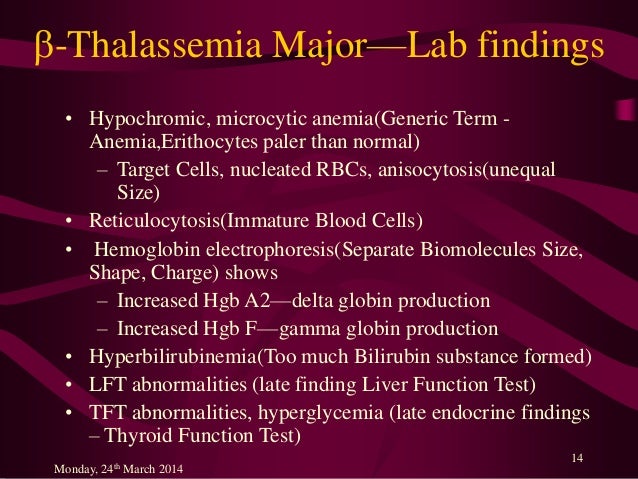 Learning About Thalassemia