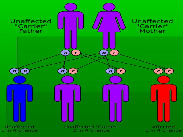 Thallasemia