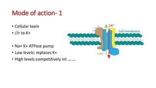 Mode of action- 1
• Cellular toxin
• //r to K+
• Na+ K+ ATPase pump
• Low levels: replaces K+
• High levels:competitively inhibits
 