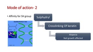 Mode of action- 2
• Affinity for SH group Sulphydryl
Crosslinking Of keratin
Alopecia
Nail growth affected
 