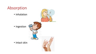 Absorption
• Inhalation
• Ingestion
• Intact skin
 