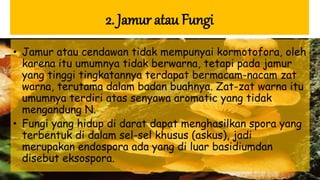 2. Jamur atau Fungi
• Jamur atau cendawan tidak mempunyai kormotofora, oleh
karena itu umumnya tidak berwarna, tetapi pada jamur
yang tinggi tingkatannya terdapat bermacam-nacam zat
warna, terutama dalam badan buahnya. Zat-zat warna itu
umumnya terdiri atas senyawa aromatic yang tidak
mengandung N.
• Fungi yang hidup di darat dapat menghasilkan spora yang
terbentuk di dalam sel-sel khusus (askus), jadi
merupakan endospora ada yang di luar basidiumdan
disebut eksospora.
 