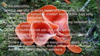 d) Ascomycotina
Hidup saprofit di dalam tanah atau hipogean, hidup di
kotoran ternak kemudian disebut koprofil ada juga yang
parasit pada tumbuhan.
Tubuhnya terdiri atas benang-benang yang bersekat atau
ada yang unisel.
Cara berkembangbiak ada dua cara, yaitu:
1. Secara vegetatif : Dengan cara klamidospora (spora
berdinding tebal), fragmentasi, tunas.
2. Secara generatif : Dengan menghasilkan spora yang
dibentuk di dalam askus. Askus-askus akan berkumpul
dalam badan yang disebut askokarp.
 
