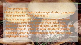 f) Deuteromycotina
Belum diketahui tingkat seksualnya, disebut juga jamur
tidak sempurna (fungi imperfecti)
Pembiakan vegetatif dengan menggunakan konidium,
sedang alat pembiakan generatifnya (askus atau
basidium) belum atau tidak dikenal. Contoh klasik ialah
Monilia sitophila, jamur ini masuk Deuteromycotina.
Kelompok jamur ini kebanyakan bersifat parasit bagi
lingkungan sekitar
 