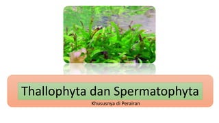 Thallophyta dan Spermatophyta
Khususnya di Perairan
 