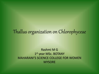 Thallus organization on Chlorophyceae
Rashmi M G
1st year MSc. BOTANY
MAHARANI’S SCIENCE COLLEGE FOR WOMEN
MYSORE
 