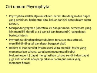 Figmen Thalophyta PPTmateri mata kuliah botani tumbuhan rendah.pptx