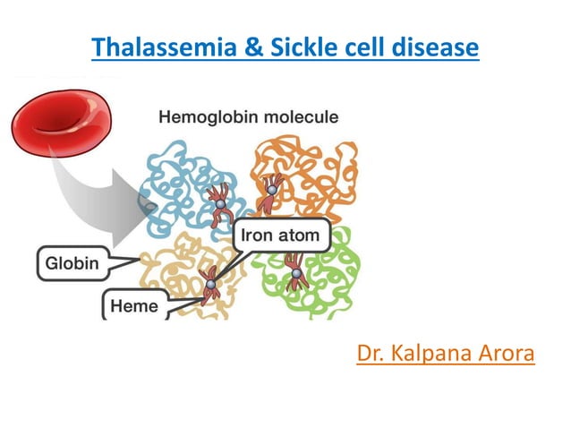 thalassemia and sickle cell disease | PPT