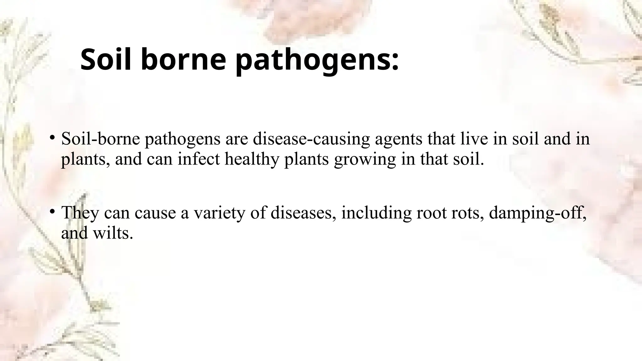 Management of soil born pathogens PATHO ppt.pptx