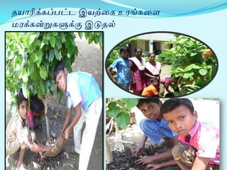 தயாரிக்கப்பட்டஇயற்றகஉைங்கறைமைக்கன்றுகளுக்குஇடுதல்  